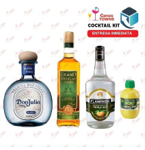 Tequila Don Julio Cocktail Kit Cactus Kicker - 2 - Cavas Towns
