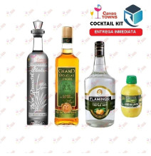 Tequila Don Ramon Cocktail Kit Cactus Kicker - 2 - Cavas Towns