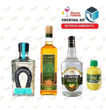 Tequila Herradura Cocktail Kit Cactus Kicker - 2 - Cavas Towns