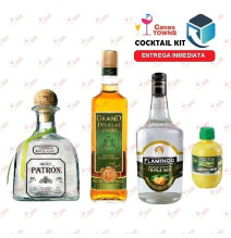 Tequila Patron Cocktail Kit Cactus Kicker - 2 - Cavas Towns