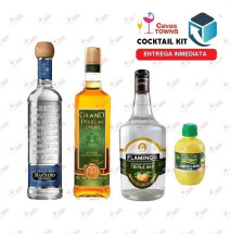 Tequila Maestro Dobel Cocktail Kit Cactus Kicker - 2 - Cavas Towns