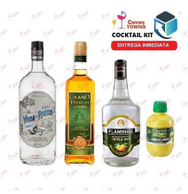 Tequila Viuda de Romero Cocktail Kit Cactus Kicker - 2 - Cavas Towns