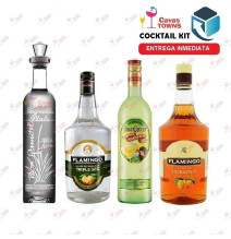 Tequila Don Ramon Cocktail Kit Downhome Punch - Cavas Towns