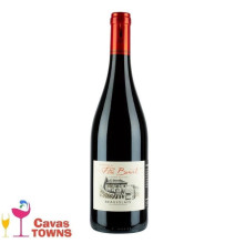 Vino Tinto Frances Domaine Du Pere Benoit Gamay 750 ml - Cavas Towns