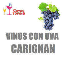 Vinos Con Uva Carignan - Cavas Towns