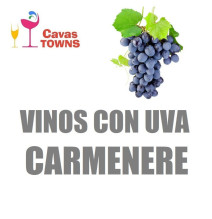 Vinos Con Uva Carmenere - Cavas Towns
