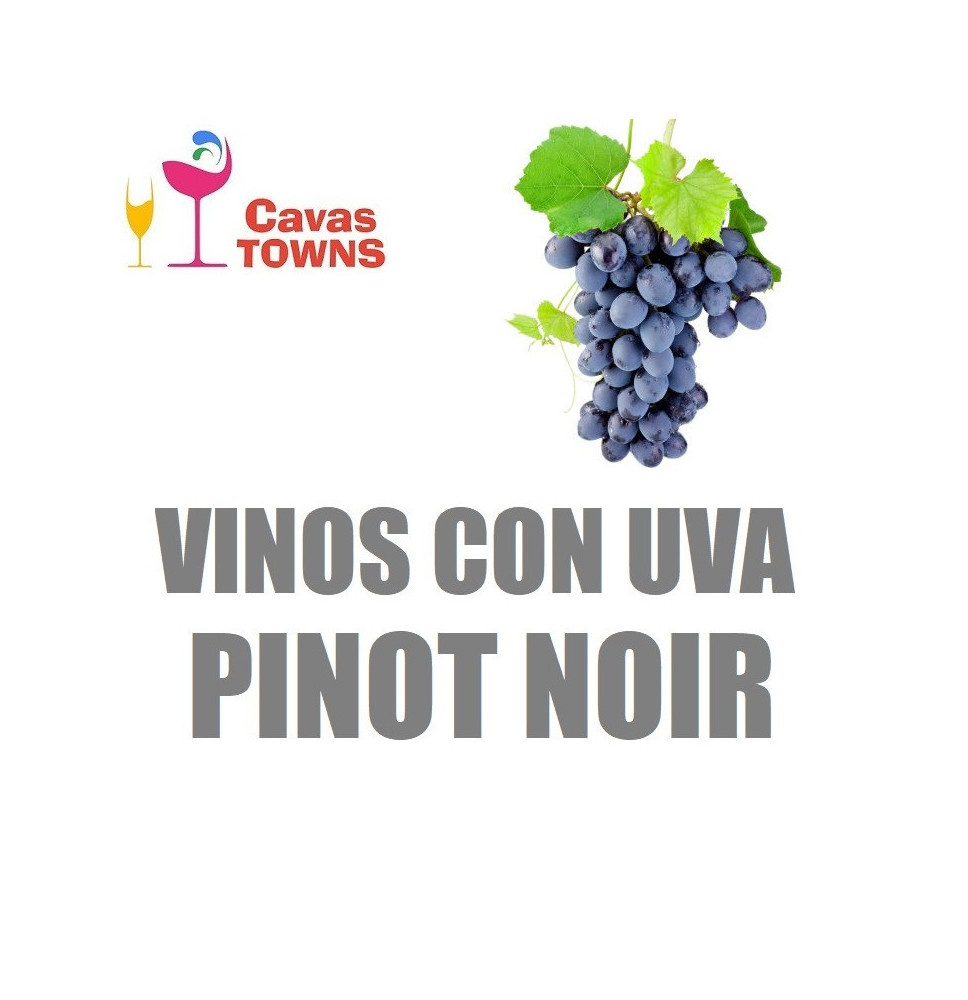 Vinos Con Uva Pinot Noir - Cavas Towns