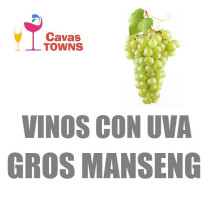 Vinos Con Uva Gros Manseng - Cavas Towns