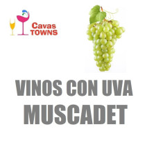 Vinos Con Uva Muscadet - Cavas Towns