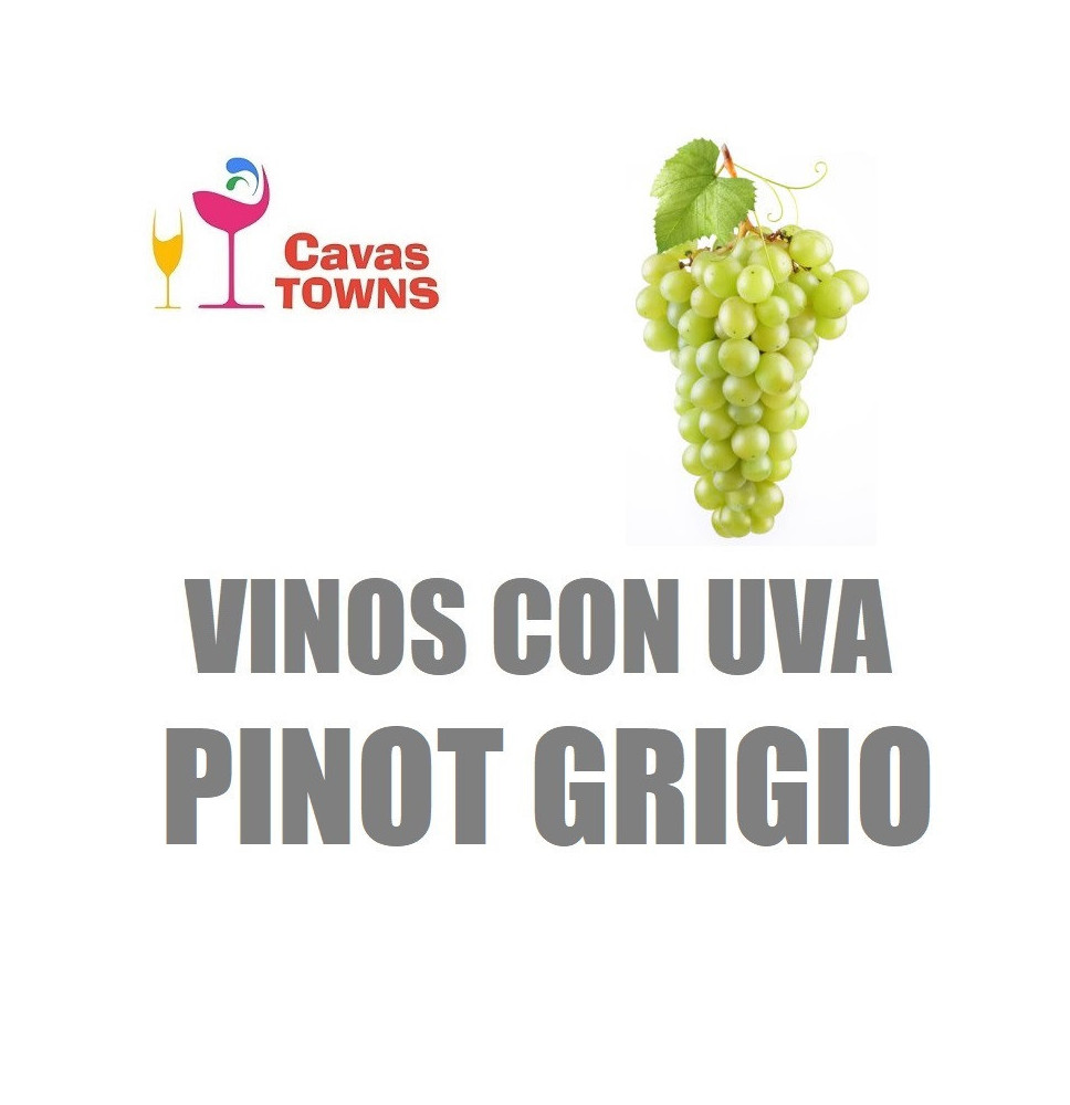Vinos Con Uva Pinot Grigio - Cavas Towns