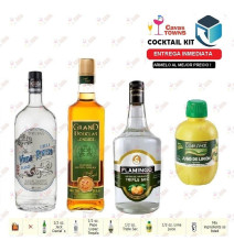 Cocktail Kit Cactus Kicker - 2 Receta Recipe - Cavas Towns