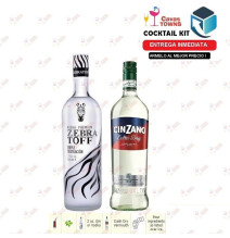 Cocktail Kit Martini -1 Receta Recipe - Cavas Towns