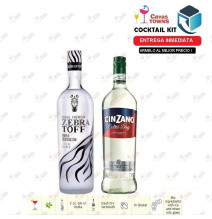 Cocktail Kit Martini -2 Receta Recipe - Cavas Towns