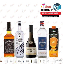 Brandy Torres 10 Años 700 Ml - Cavas Towns