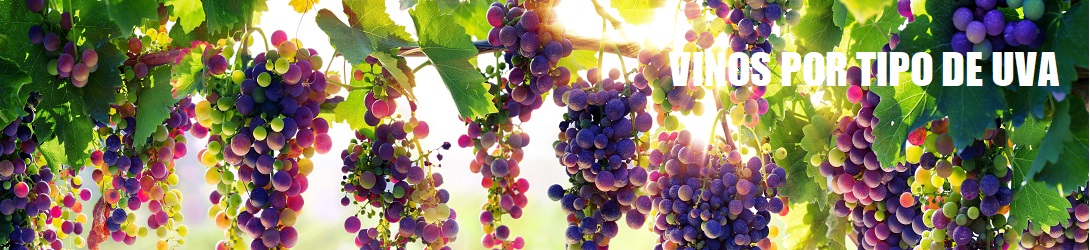 Vinos Rosados por Tipo de Uva