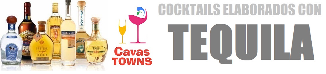 Cocktails elaborados con tequila